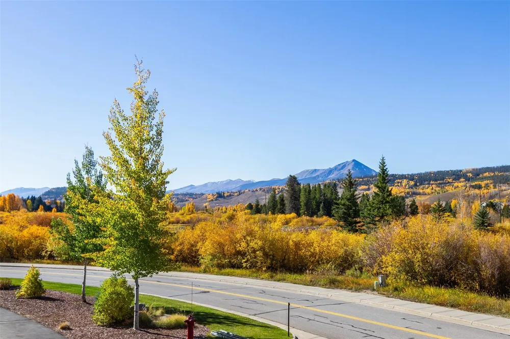 405 Bald Eagle Road Silverthorne, CO 80498