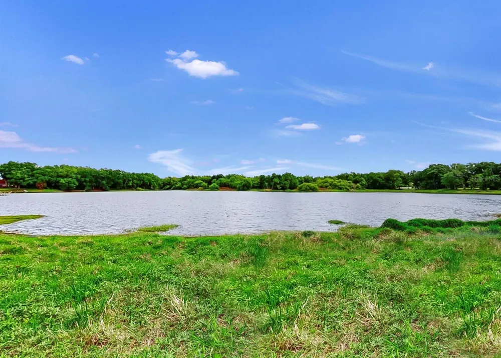 220 ROSANA DRIVE Brandon, FL 33511