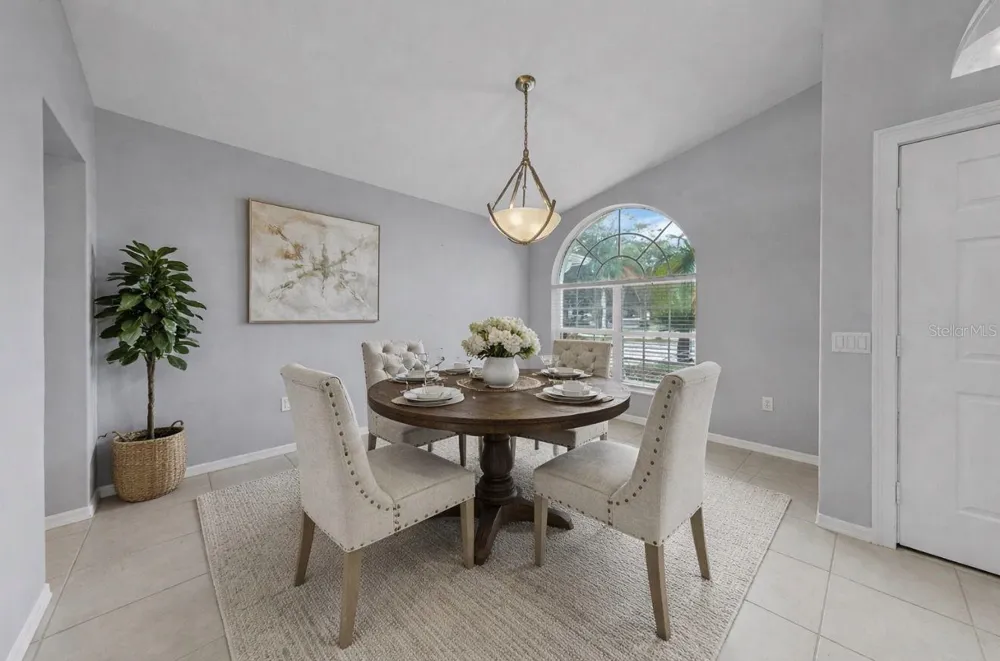 220 ROSANA DRIVE Brandon, FL 33511