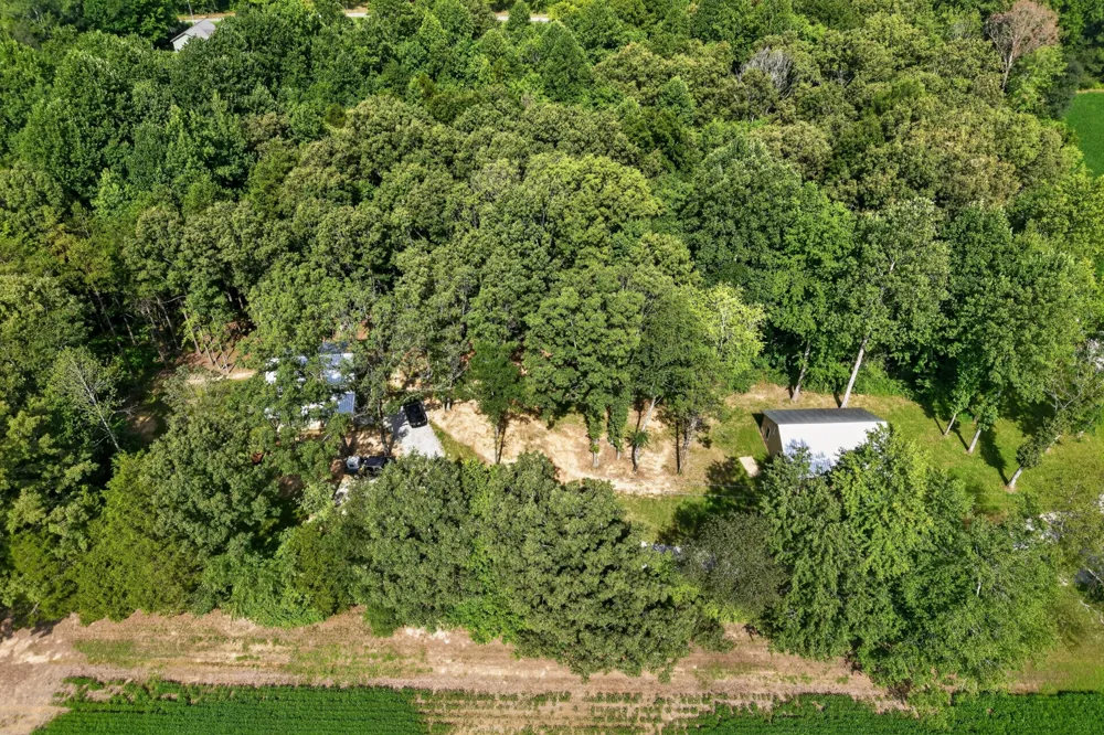 259 Jim Warren Rd McMinnville, TN 37110