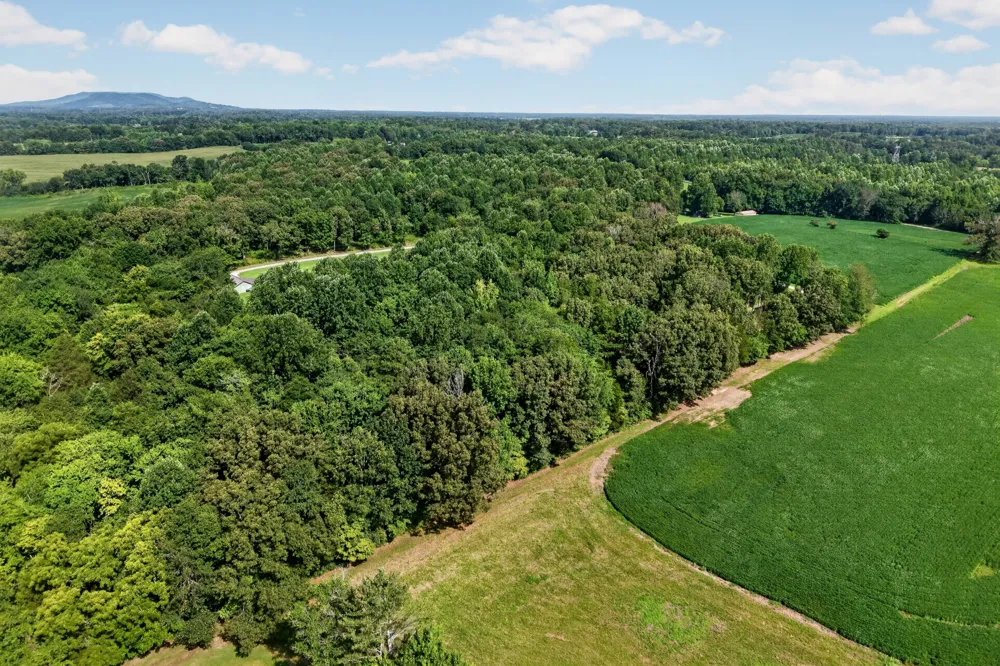 259 Jim Warren Rd McMinnville, TN 37110