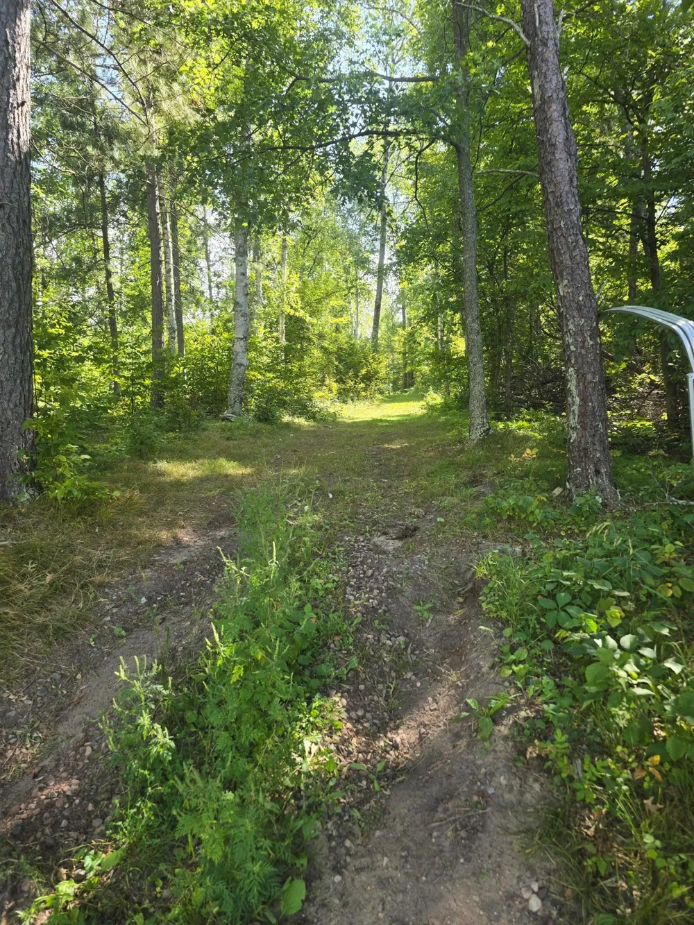 38509 Pickerel Trail Crosslake, MN 56442