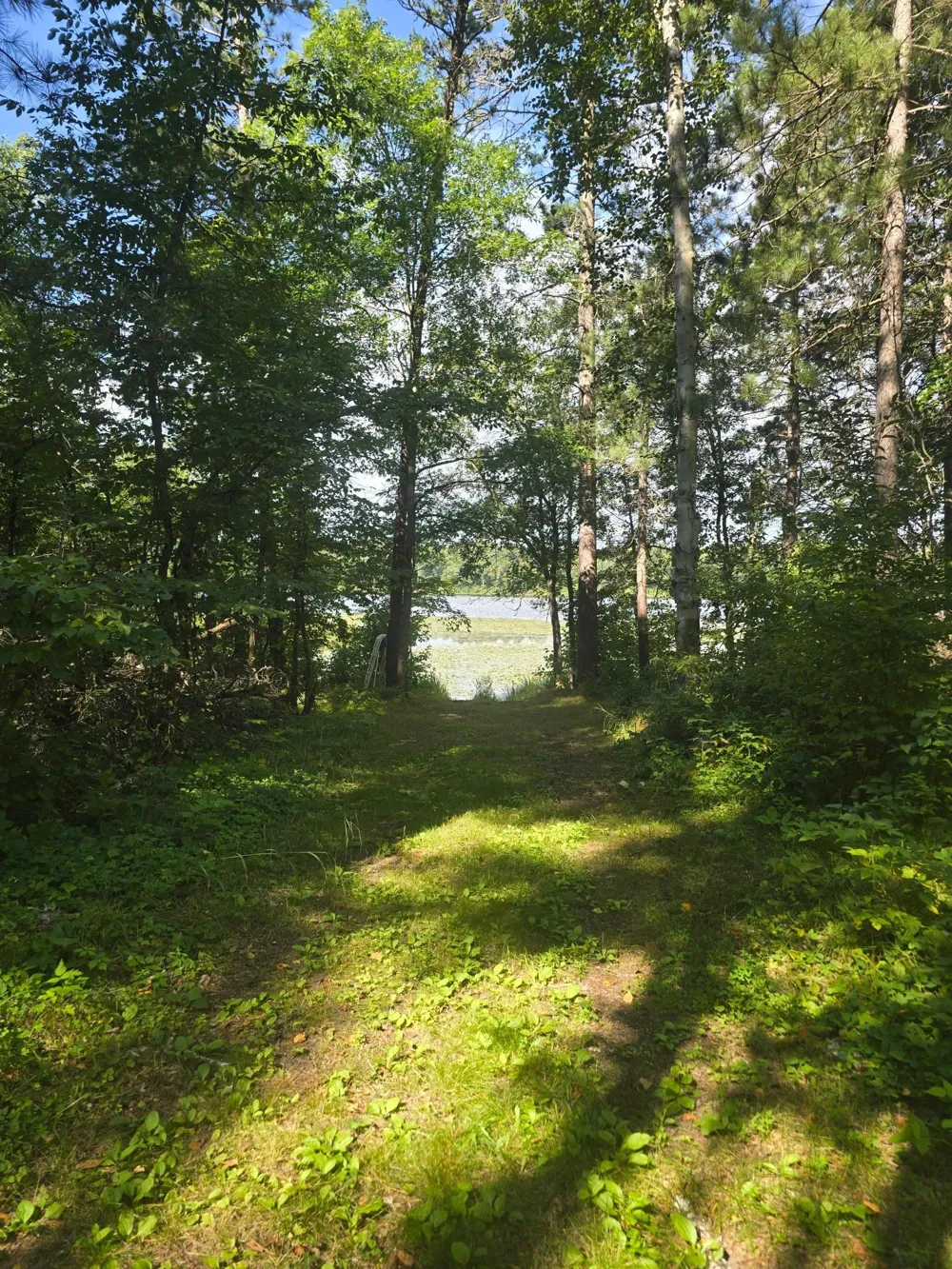 38509 Pickerel Trail Crosslake, MN 56442