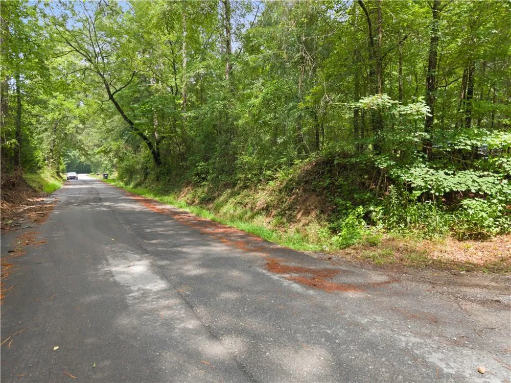 0 Pickett Bridge Road Covington, GA 30016