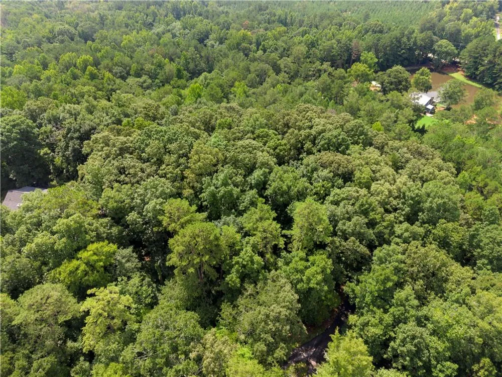 0 Pickett Bridge Road Covington, GA 30016