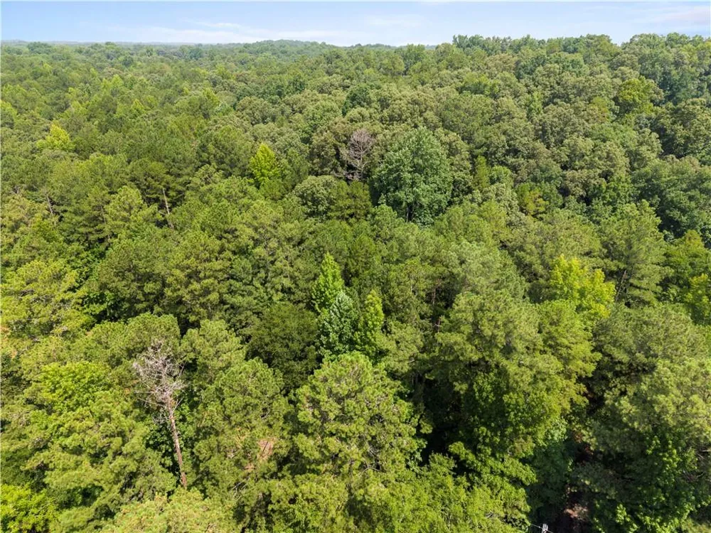 0 Pickett Bridge Road Covington, GA 30016