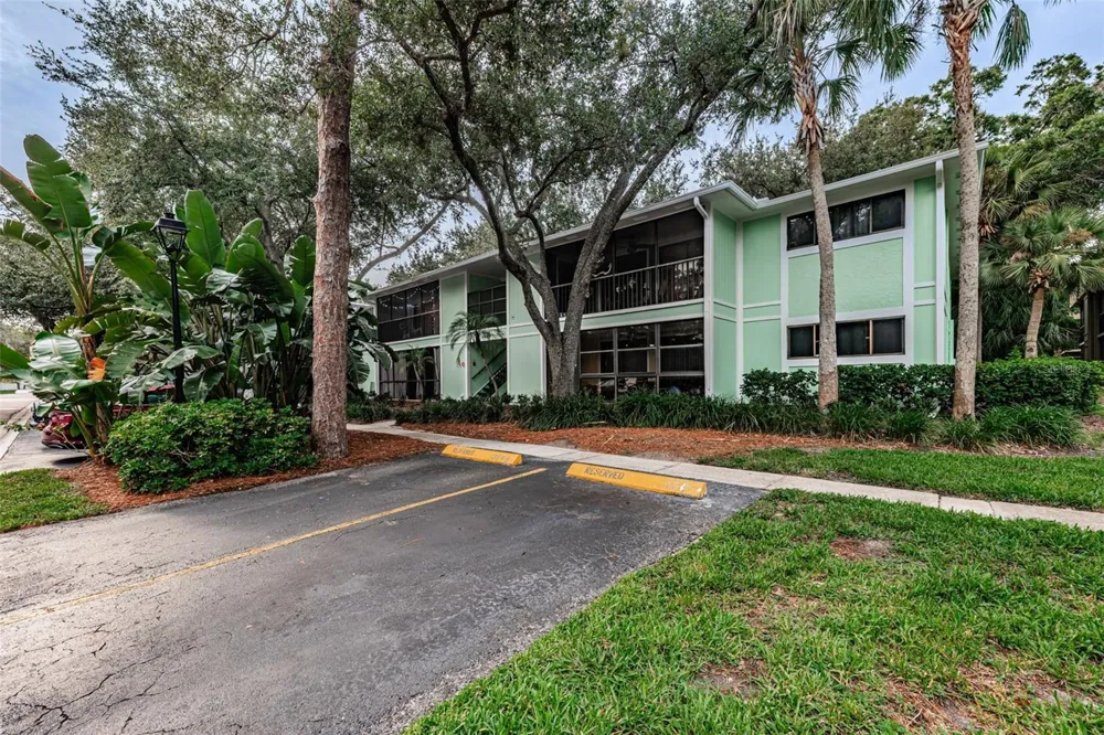 3295 FOX CHASE CIRCLE #107 Palm Harbor, FL 34683