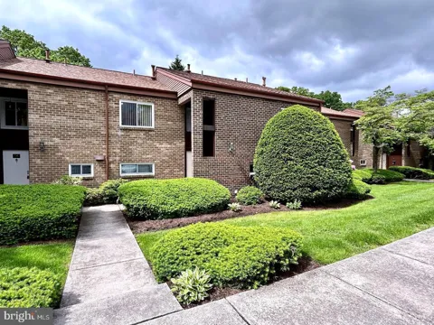 15 CAMPBELL PLACE