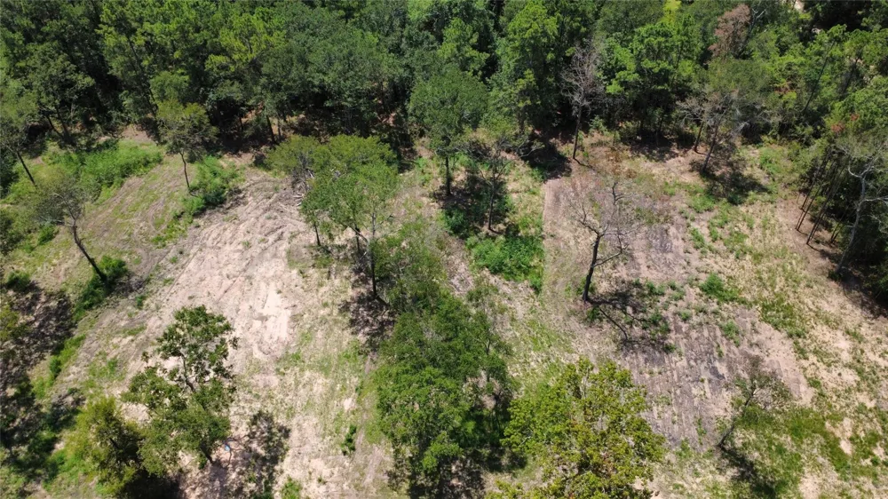 County Road 201 Loop Plantersville, TX 77363
