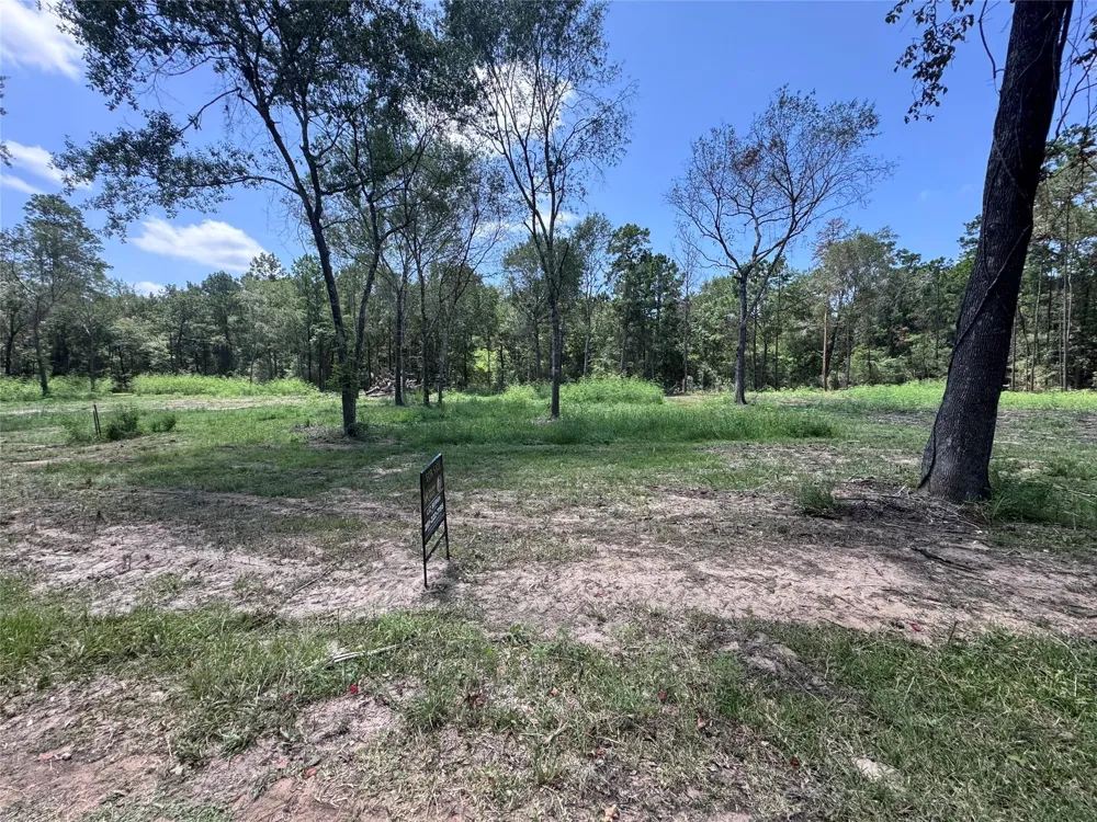 County Road 201 Loop Plantersville, TX 77363