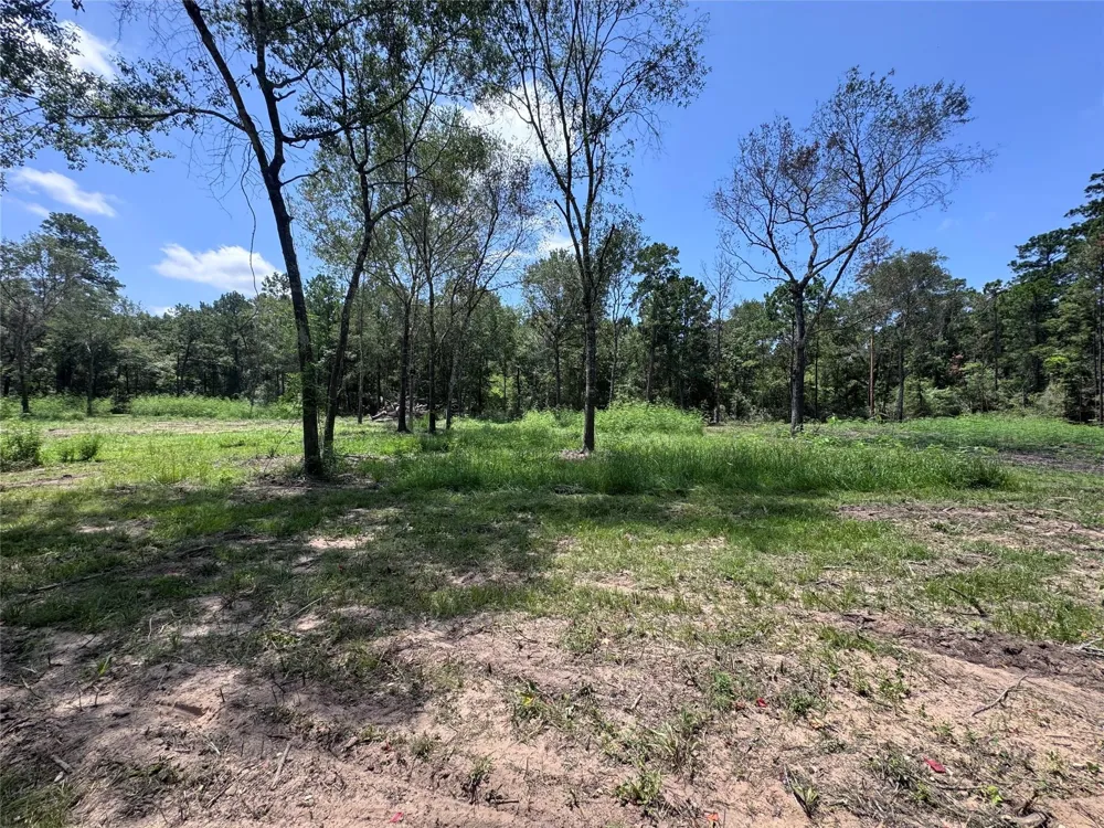 County Road 201 Loop Plantersville, TX 77363