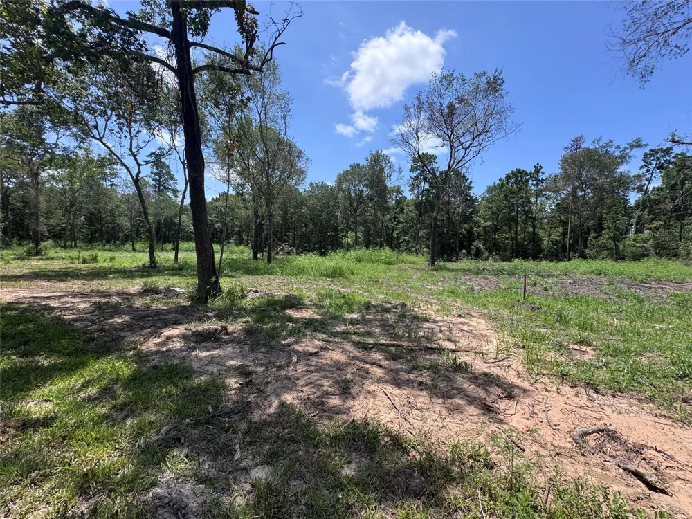 County Road 201 Loop Plantersville, TX 77363