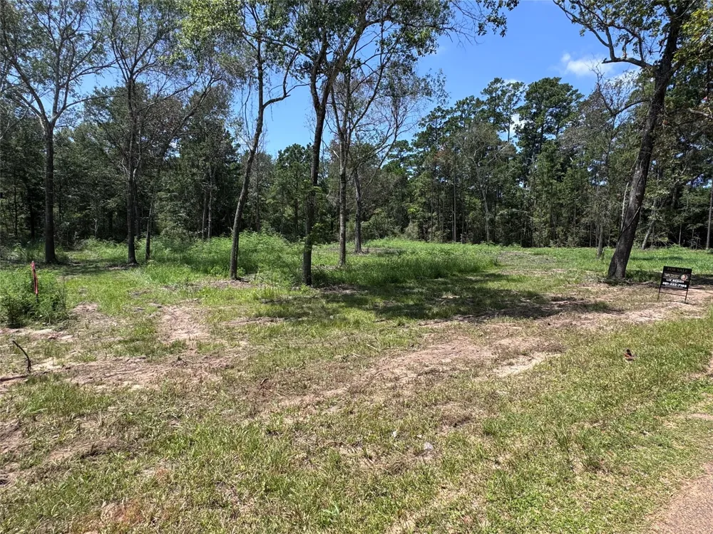 County Road 201 Loop Plantersville, TX 77363