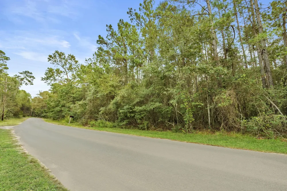 County Road 201 Loop Plantersville, TX 77363