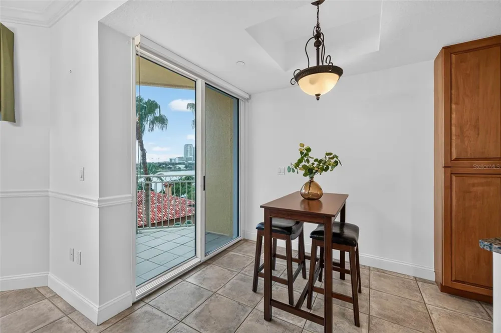 555 5TH AVENUE NE #521 St Petersburg, FL 33701
