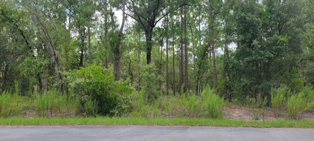 0 NW CHESTNUT AVENUE Dunnellon, FL 34431
