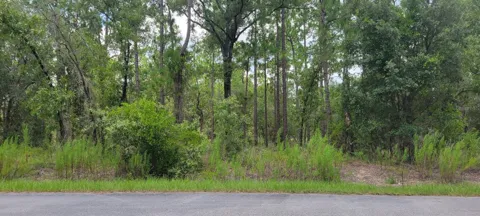 0 NW CHESTNUT AVENUE
