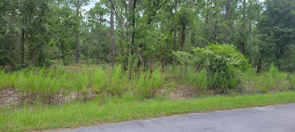0 NW CHESTNUT AVENUE Dunnellon, FL 34431