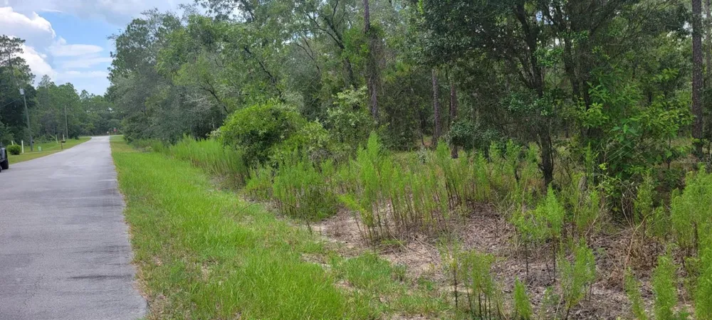 0 NW CHESTNUT AVENUE Dunnellon, FL 34431