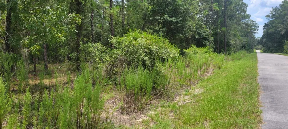 0 NW CHESTNUT AVENUE Dunnellon, FL 34431