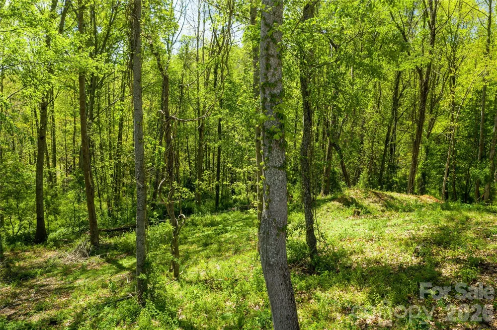 9999 Bee Balm Way #55 Asheville, NC 28804