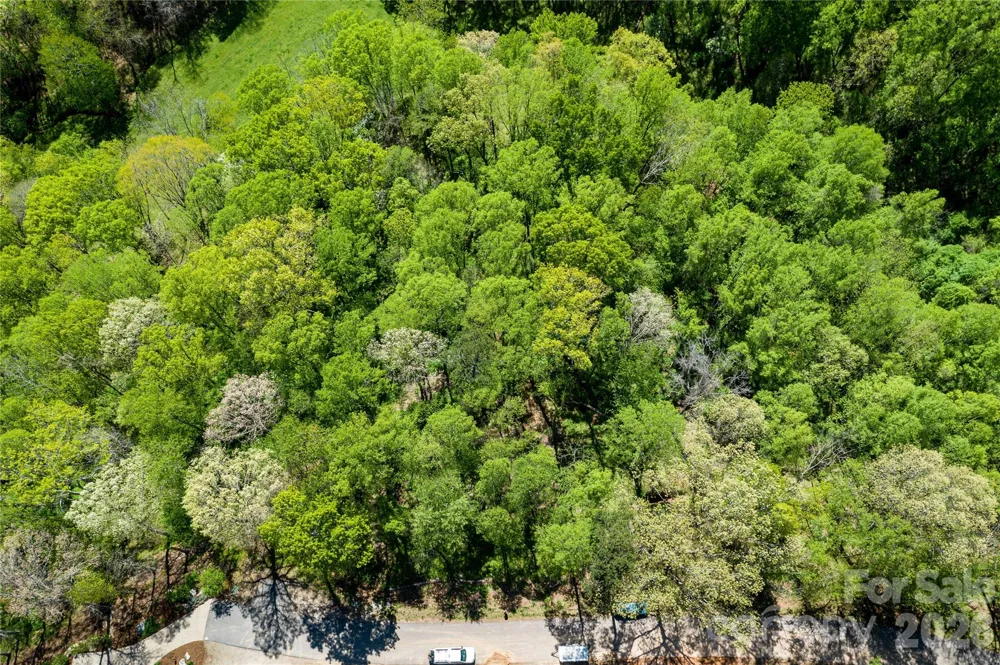 9999 Bee Balm Way #55 Asheville, NC 28804