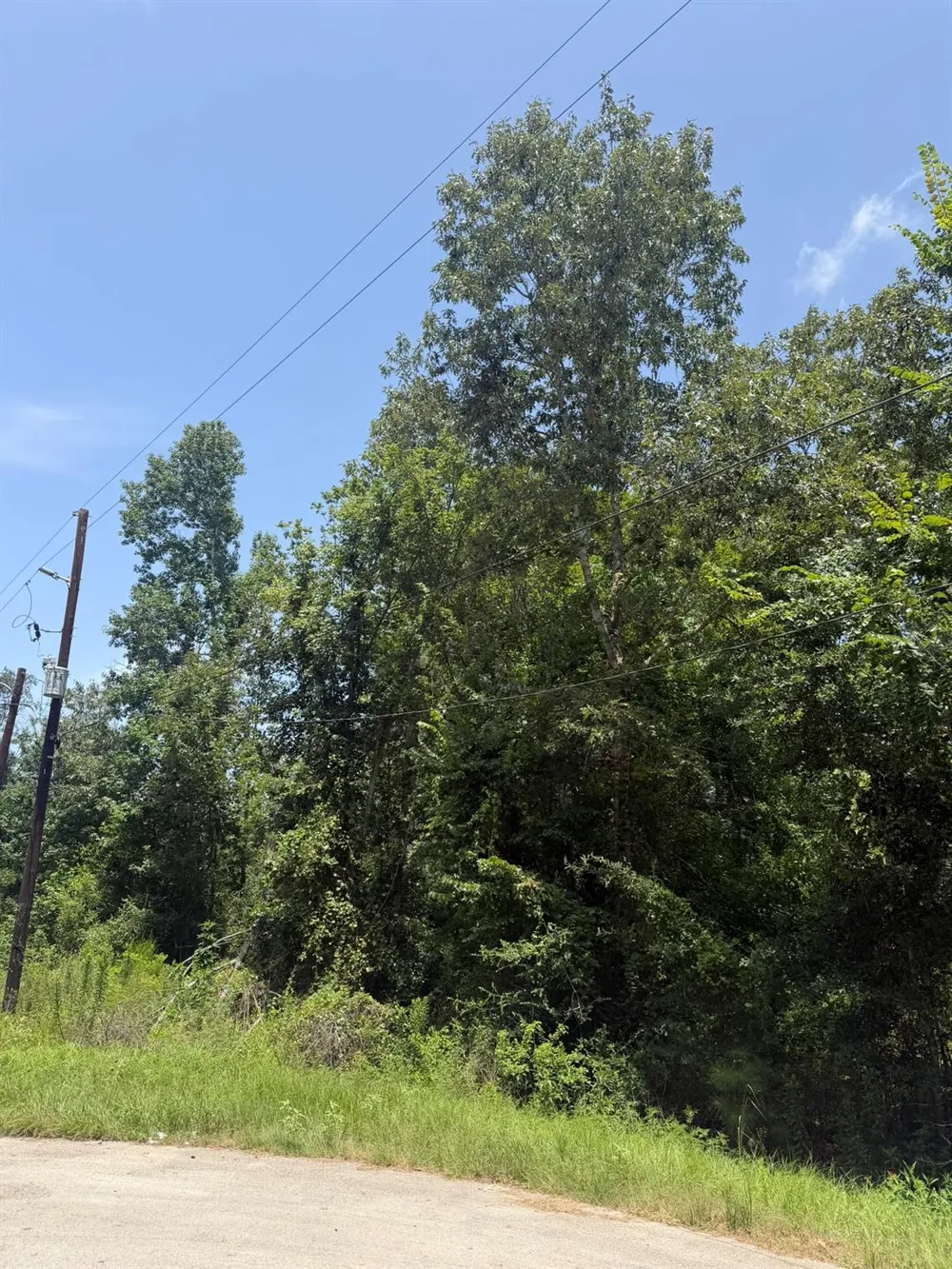 26737 Oak Creek Drive Splendora, TX 77372