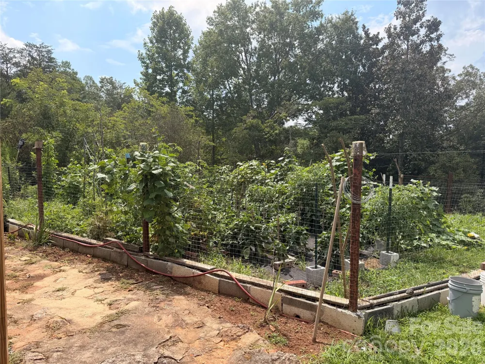 4991 Albert Williams Road W Connelly Springs, NC 28612