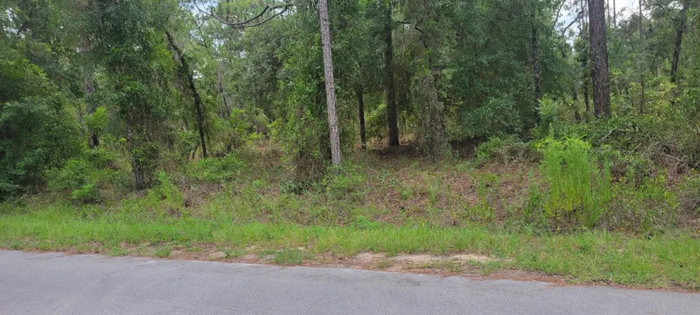 0 NW HIGHVIEW AVENUE Dunnellon, FL 34431