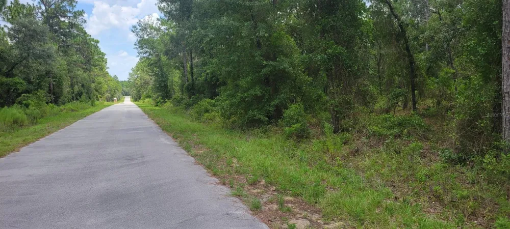 0 NW HIGHVIEW AVENUE Dunnellon, FL 34431