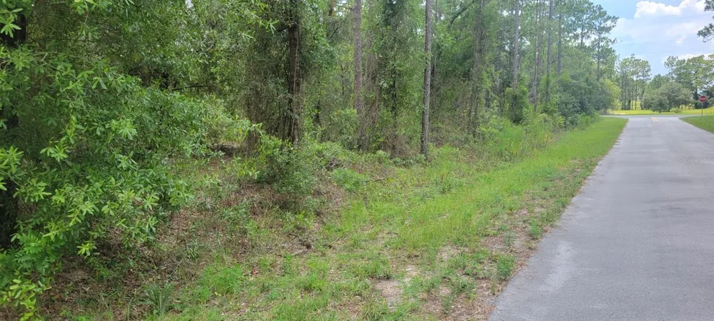 0 NW HIGHVIEW AVENUE Dunnellon, FL 34431