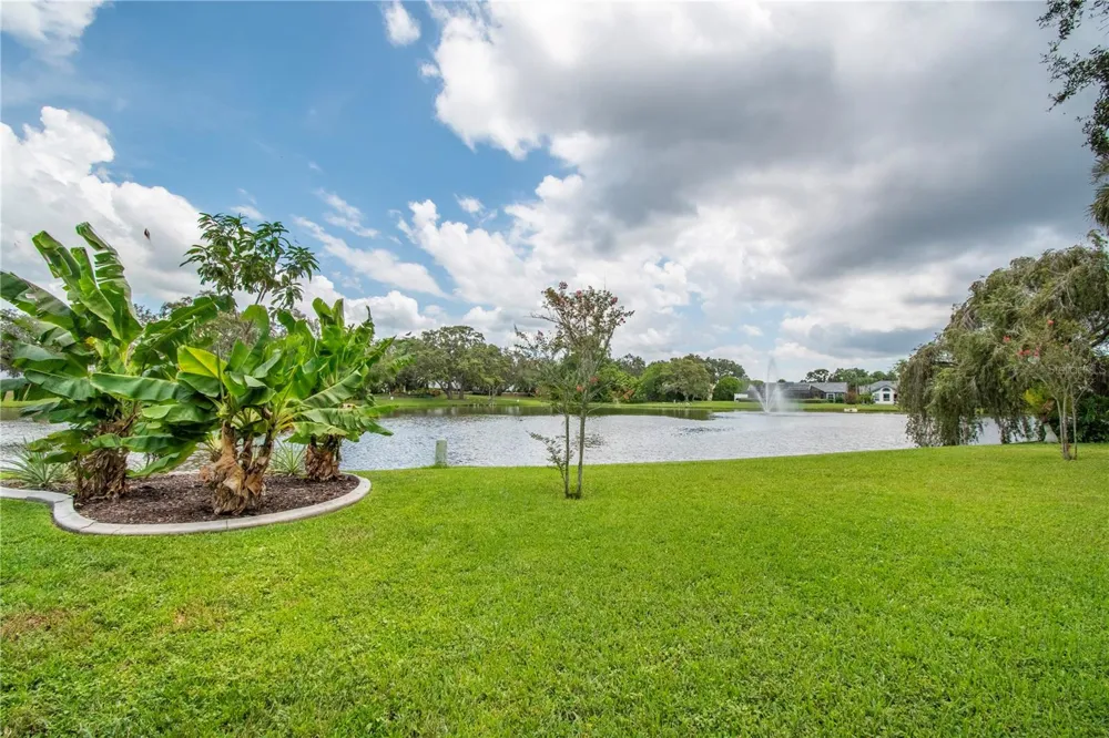 2906 WINDRIDGE DRIVE Holiday, FL 34691