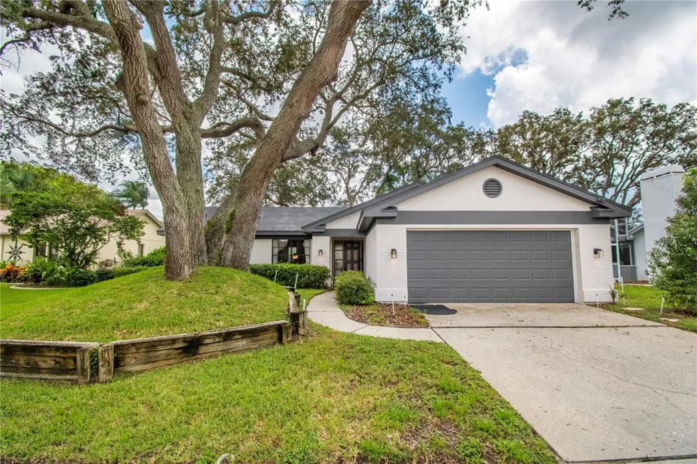 2906 WINDRIDGE DRIVE Holiday, FL 34691