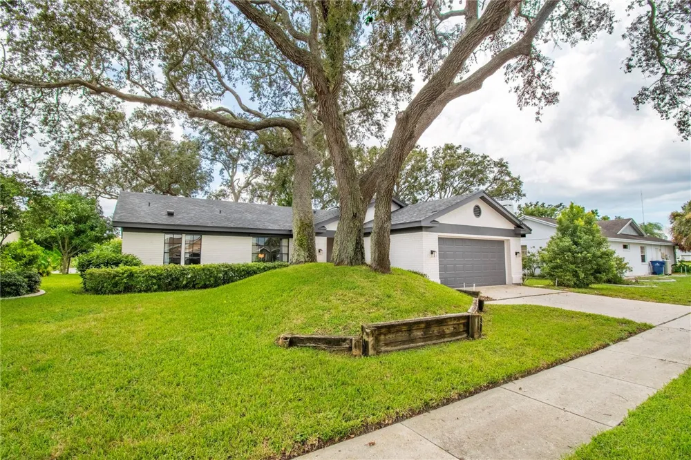 2906 WINDRIDGE DRIVE Holiday, FL 34691