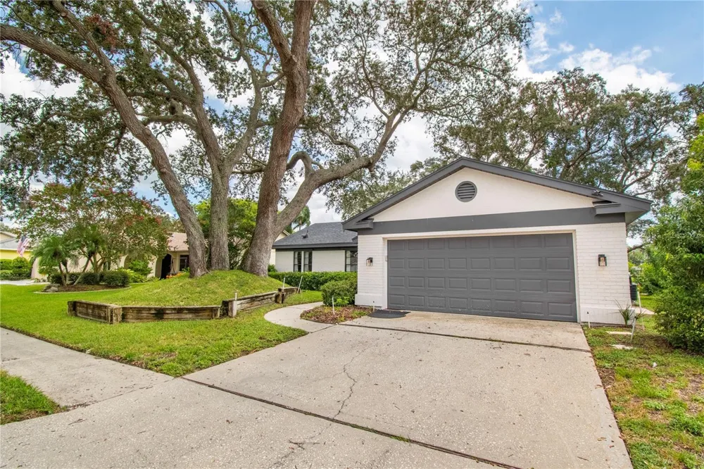 2906 WINDRIDGE DRIVE Holiday, FL 34691