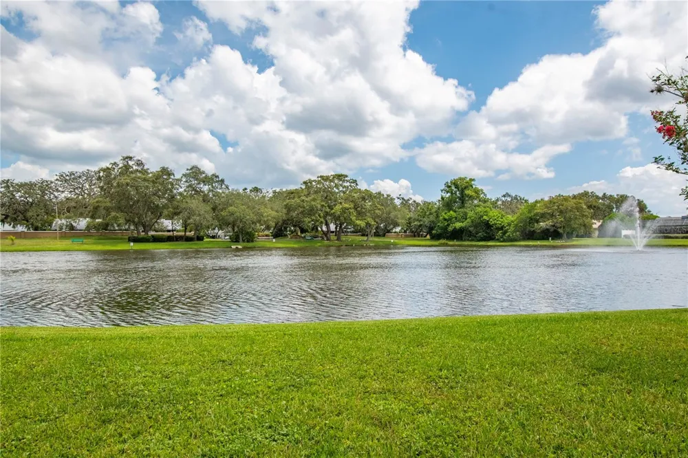 2906 WINDRIDGE DRIVE Holiday, FL 34691