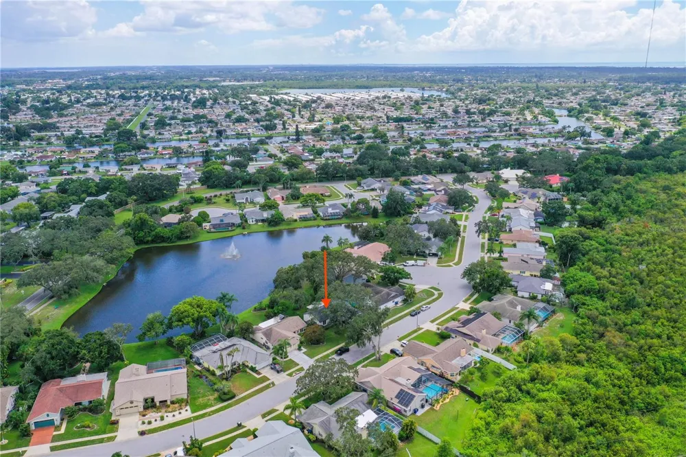 2906 WINDRIDGE DRIVE Holiday, FL 34691