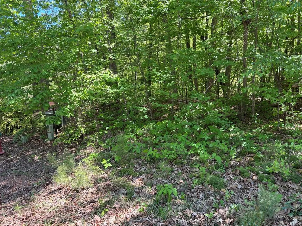 Lot 15 Cross Creek Drive Toccoa, GA 30577