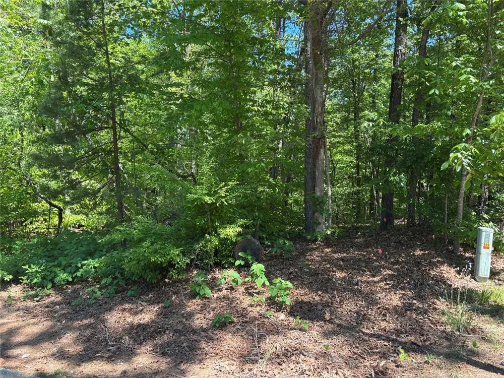 Lot 15 Cross Creek Drive Toccoa, GA 30577