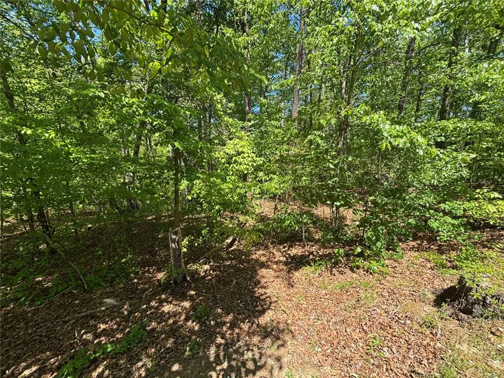 Lot 15 Cross Creek Drive Toccoa, GA 30577