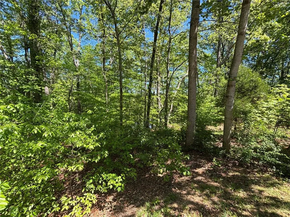 Lot 15 Cross Creek Drive Toccoa, GA 30577
