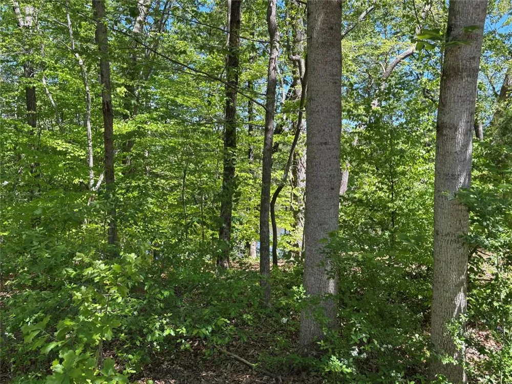 Lot 15 Cross Creek Drive Toccoa, GA 30577