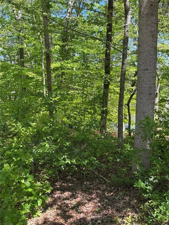 Lot 15 Cross Creek Drive Toccoa, GA 30577