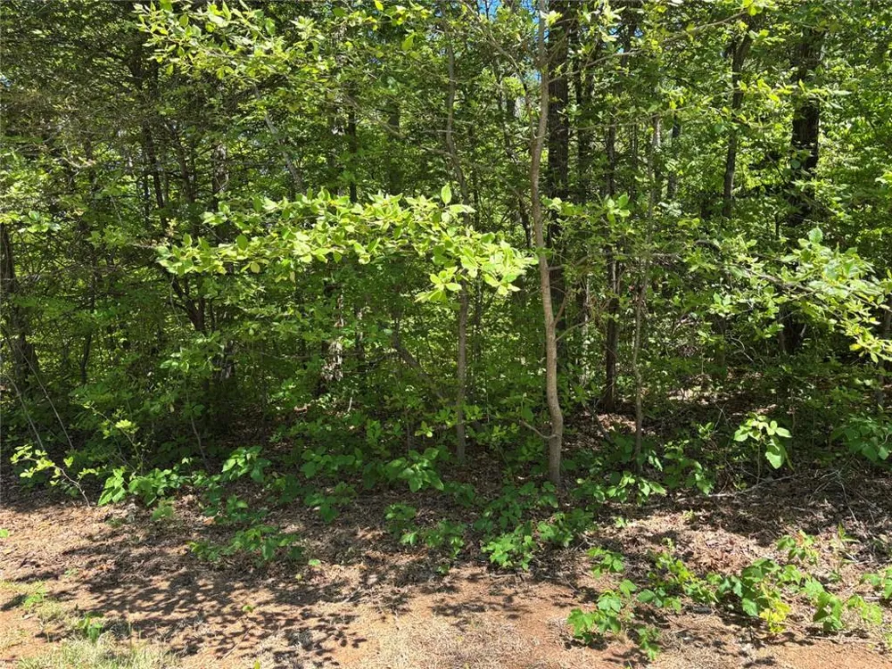 Lot 15 Cross Creek Drive Toccoa, GA 30577