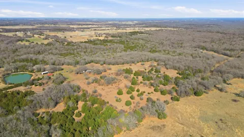 1619 County Road 156
