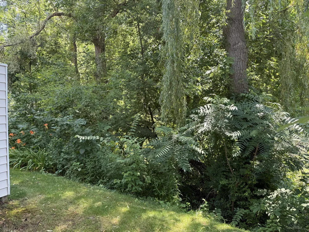 7034 S Cannon Place Drive NE #29 Cannon Township, MI 49341
