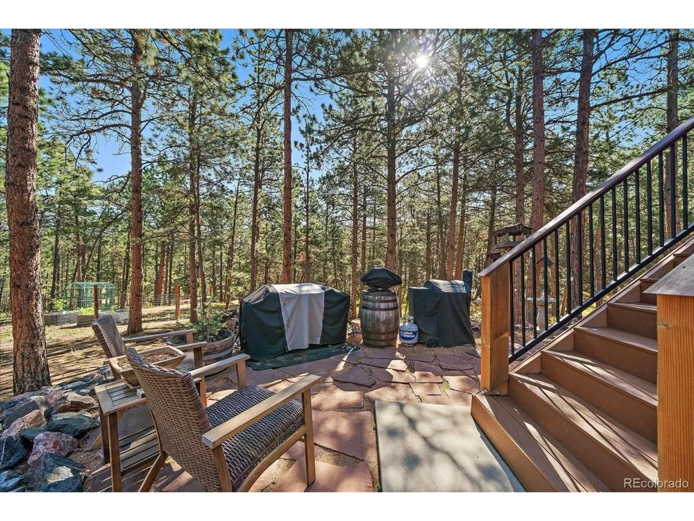 13183 S Piute Drive Pine, CO 80470