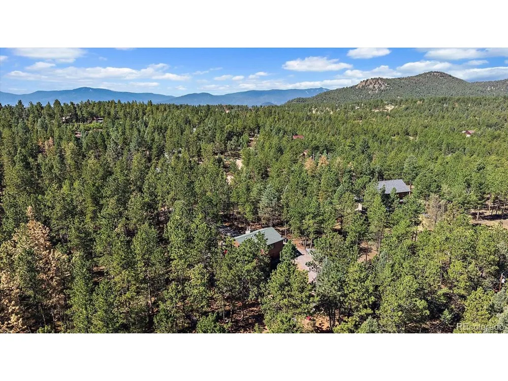 13183 S Piute Drive Pine, CO 80470