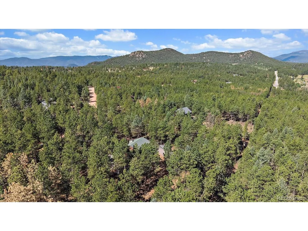 13183 S Piute Drive Pine, CO 80470
