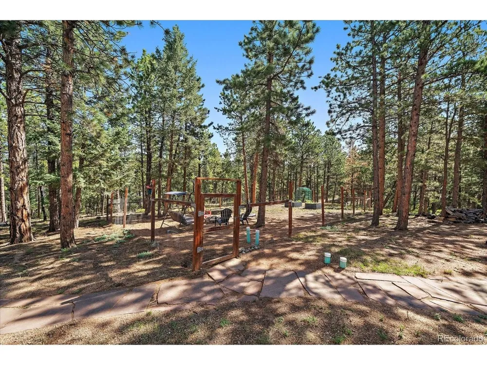 13183 S Piute Drive Pine, CO 80470